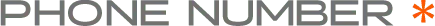 PHONE NUMBER *